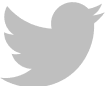 Twitter Image Logo